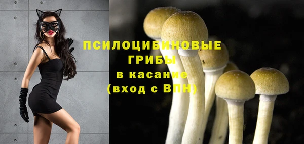 дурь Гусь-Хрустальный
