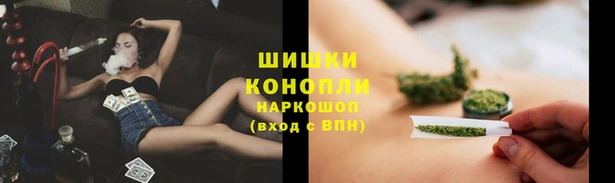 дурь Гусь-Хрустальный