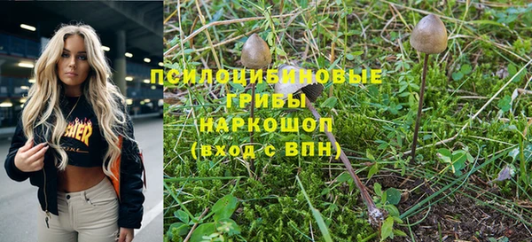 jwh Гусев
